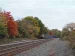 M627 and more fall leaves 